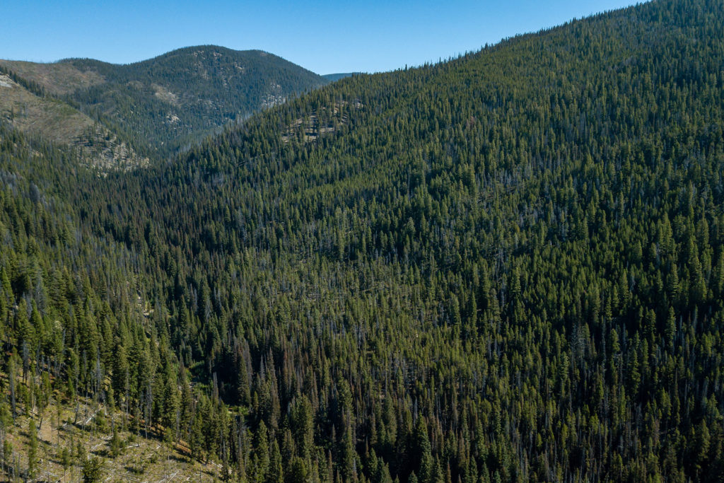 2175 Hughes Creek Road, Darby Cole Bergquist/Rebecca Donnelly Team