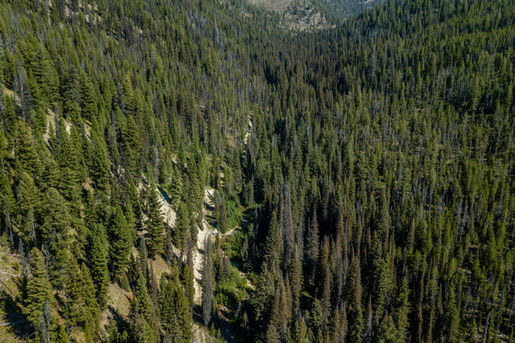 2175 Hughes Creek Road, Darby Cole Bergquist/Rebecca Donnelly Team