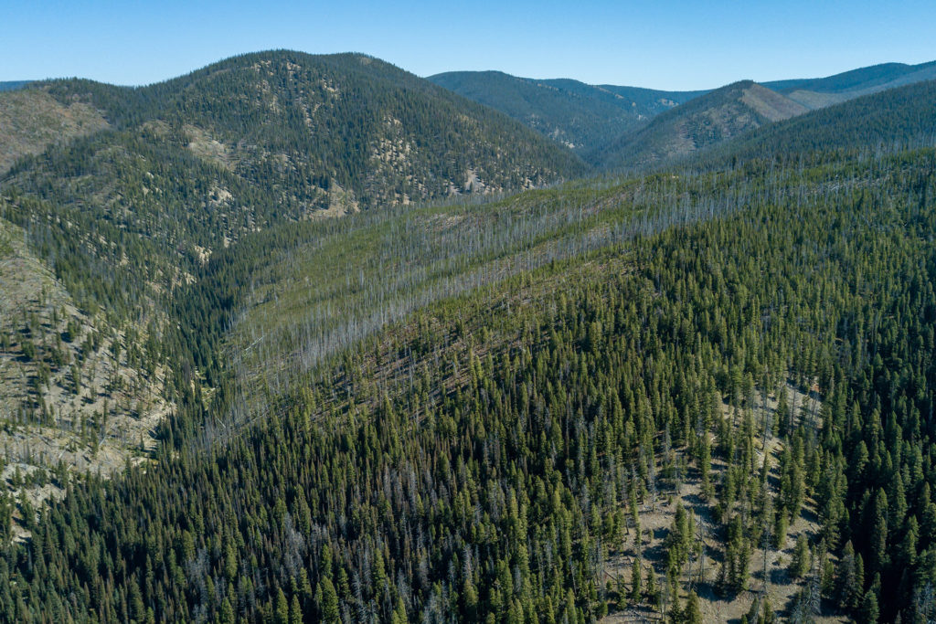 2175HughesCreek_14 Cole Bergquist Western Montana Luxury Real Estate